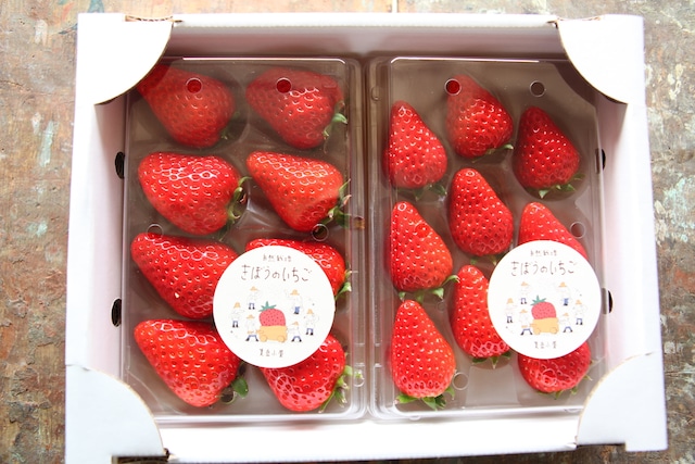 きぼうのいちご・A HOpe Strawberry　（品種　紅ほっぺ）　配送用パック２パックセット