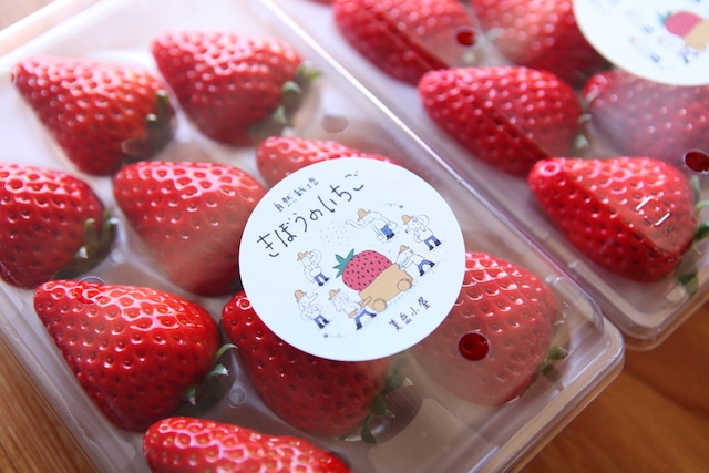 きぼうのいちご・A HOpe Strawberry　（品種　紅ほっぺ）　配送用パック２パックセット